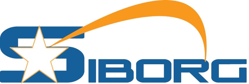 Siborg: Consulenza, formazione, energia